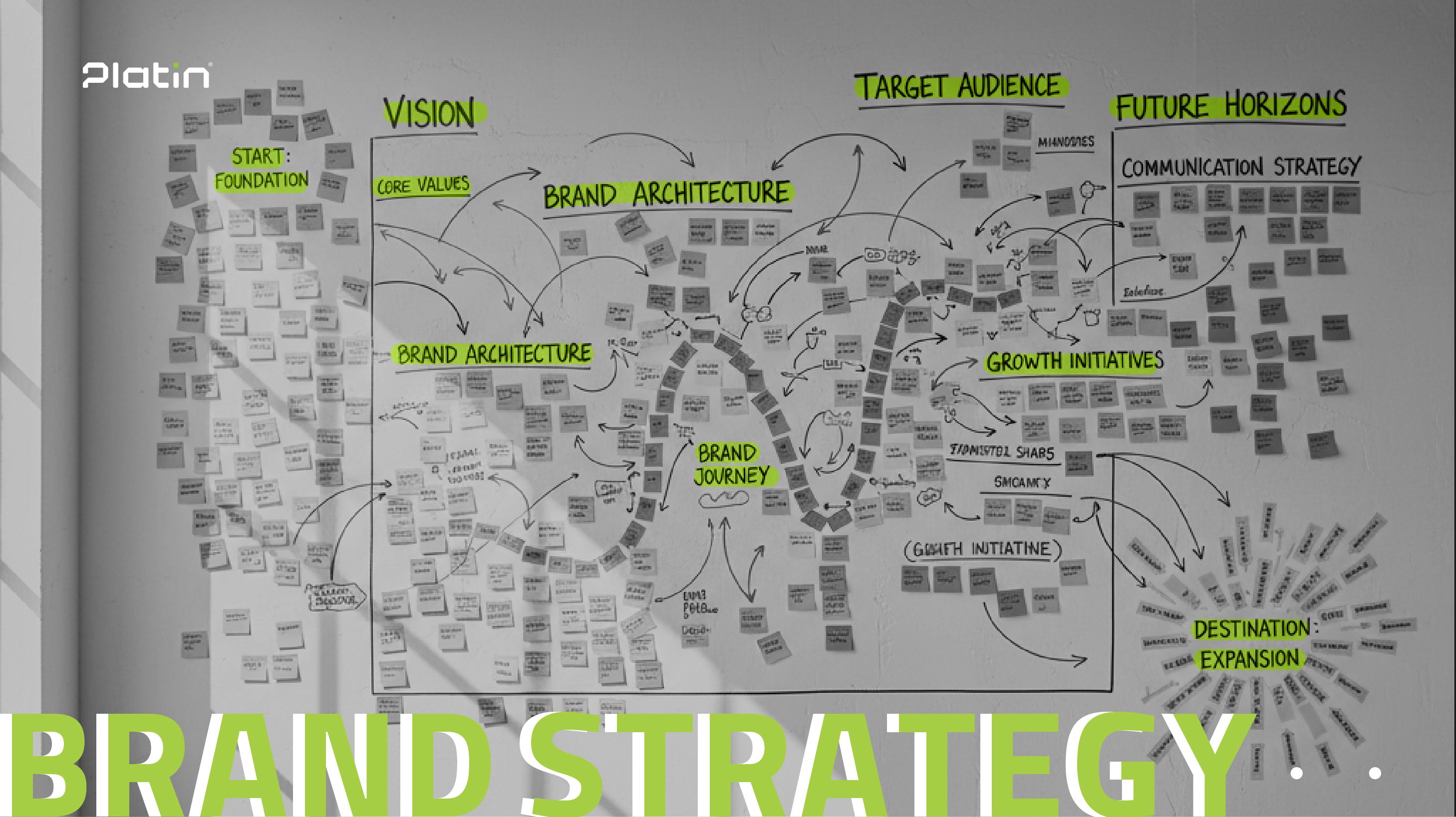 platin-web-04.08.24_Artboard 1 copy.jpg