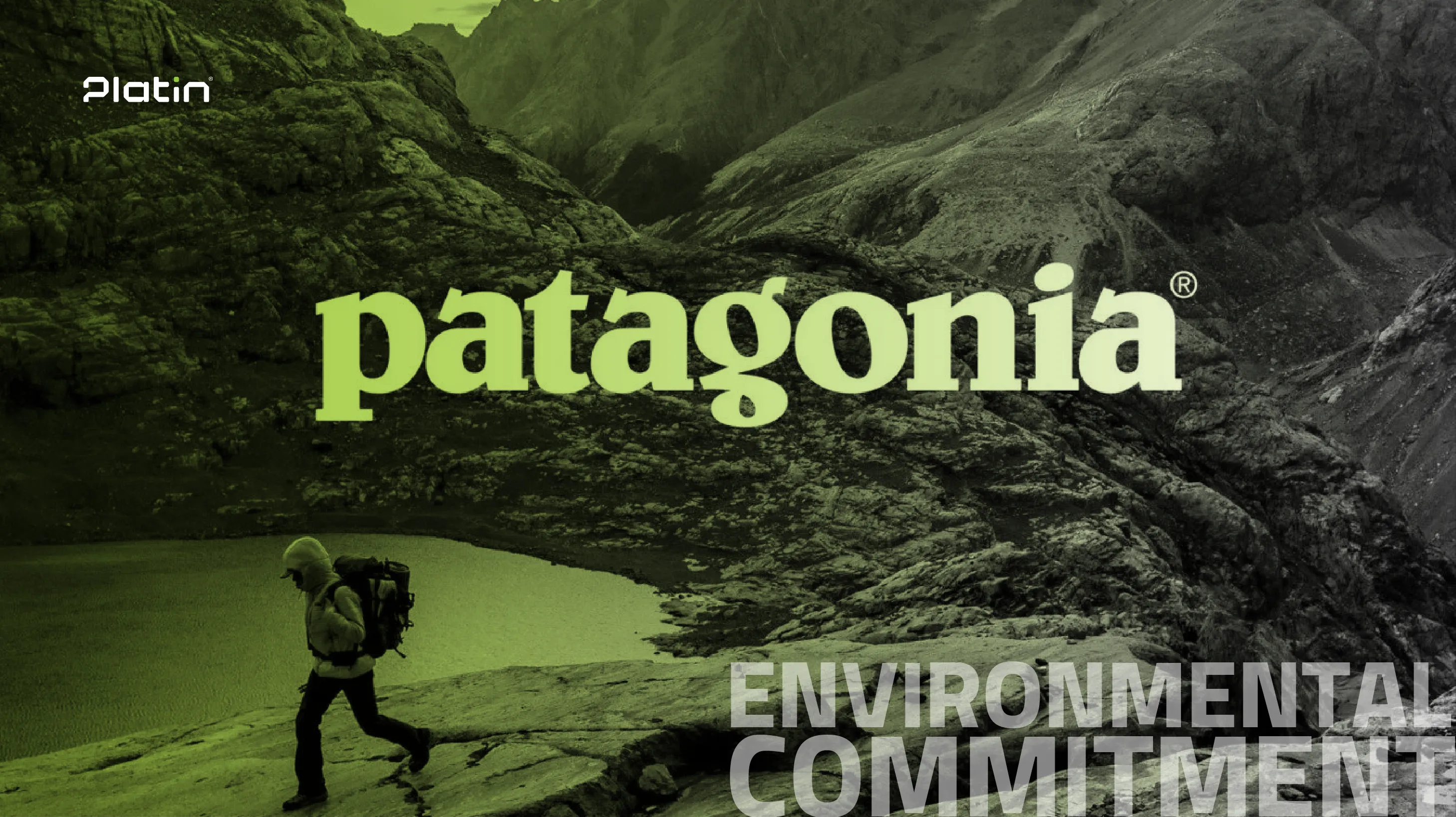 Patagonia